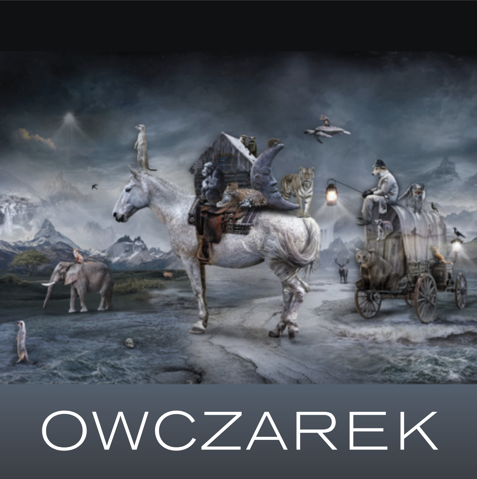Marcin & Kat Owczarek — Angela King Gallery